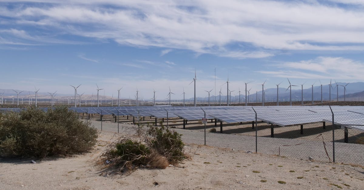 découvrez les principes et pratiques du développement durable pour préserver les ressources naturelles, promouvoir l'équité sociale et assurer un avenir viable pour les générations futures.