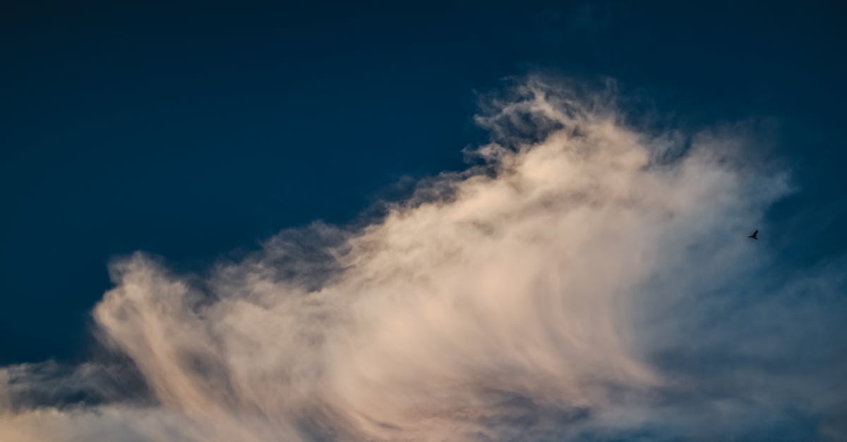 découvrez tout sur le climat, ses variations, ses impacts environnementaux et comment agir pour un avenir durable.