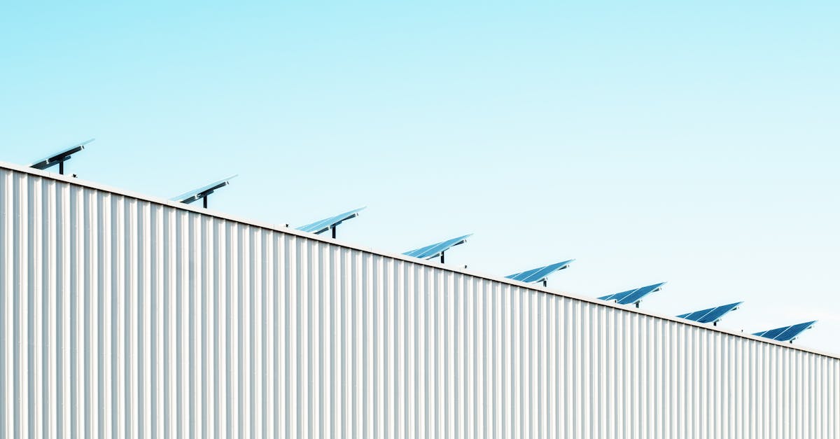 découvrez comment adopter des pratiques durables pour préserver l’environnement, améliorer votre impact et promouvoir la responsabilité sociale au quotidien grâce à nos conseils sur la durabilité.