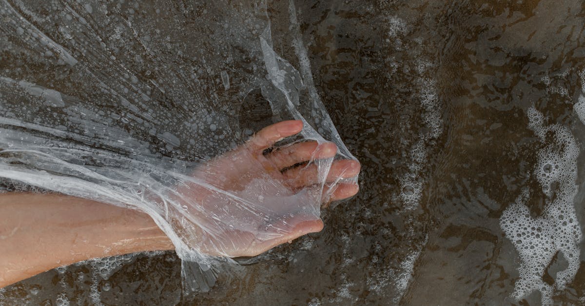 découvrez l'impact du climat sur notre planète, les conséquences des changements climatiques et les solutions durables pour préserver l'environnement. informez-vous sur les enjeux actuels et comment agir pour un avenir plus vert.