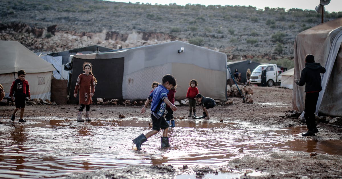 découvrez les climate games : des jeux interactifs et éducatifs pour sensibiliser au changement climatique tout en s'amusant. relevez des défis, apprenez des solutions écologiques et engagez-vous pour la planète !