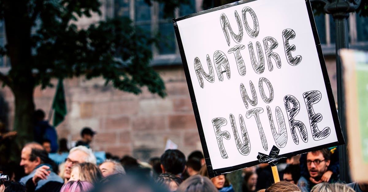 découvrez les enjeux et les impacts du changement climatique sur notre planète. informez-vous sur les causes, les conséquences et les solutions pour lutter contre ce phénomène mondial tout en préservant notre environnement pour les générations futures.