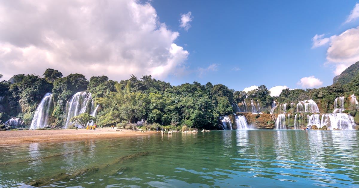 découvrez l'importance et la gestion des ressources en eau, un enjeu crucial pour l'environnement et le développement durable. apprenez comment préserver cette précieuse ressource vitale pour les générations futures.