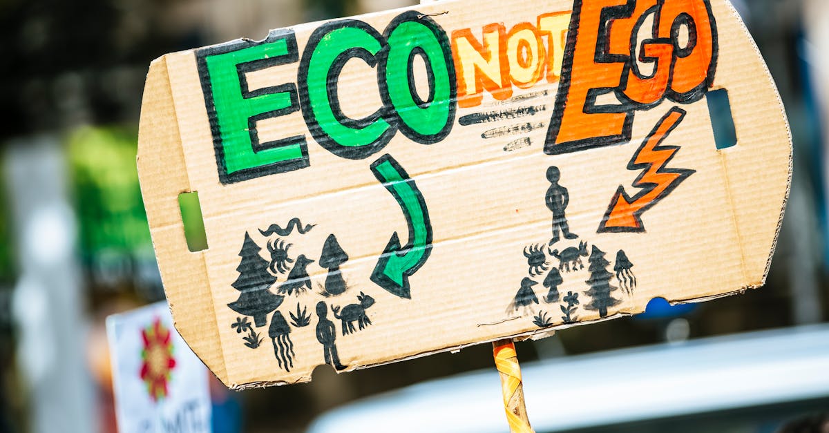découvrez les causes, conséquences et solutions face au changement climatique. informez-vous sur l'impact environnemental et les actions à adopter pour protéger la planète.