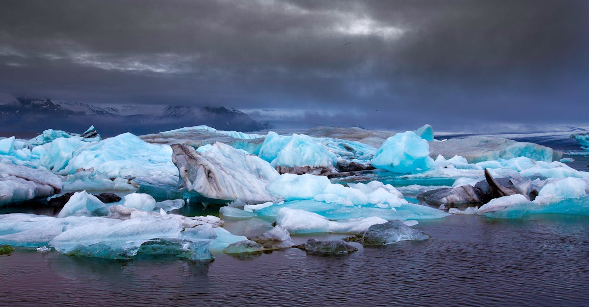 découvrez l'impact du réchauffement climatique en europe et les mesures clés pour atténuer ses effets sur l'environnement et la société.