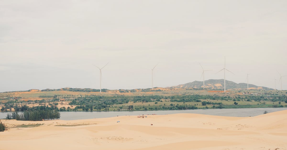 découvrez les politiques environnementales et leur impact sur la durabilité. apprenez comment ces mesures visent à protéger notre planète, à promouvoir les énergies renouvelables et à encourager des pratiques écologiques pour un avenir meilleur.