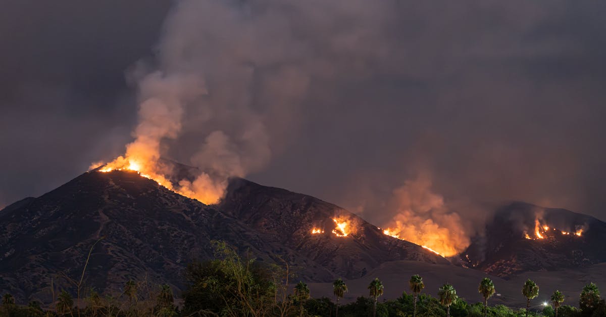 découvrez les catastrophes climatiques : causes, impacts et solutions pour mieux comprendre et agir face aux défis environnementaux.