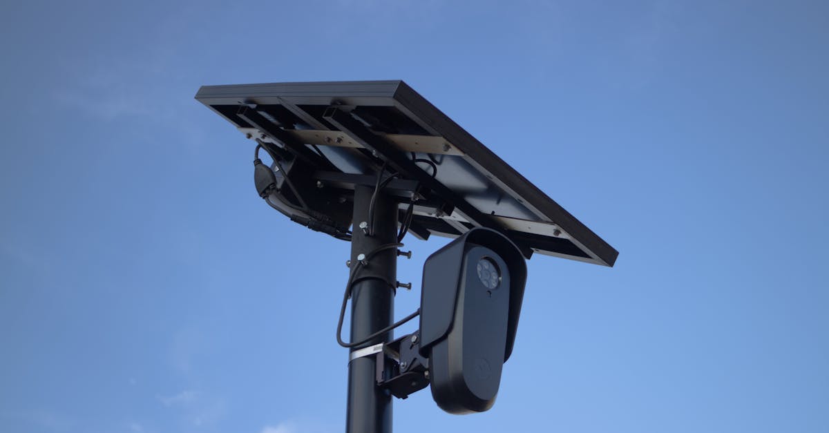 découvrez l'importance de la surveillance écologique : méthodes, enjeux et technologies pour protéger l'environnement et mieux comprendre la biodiversité.