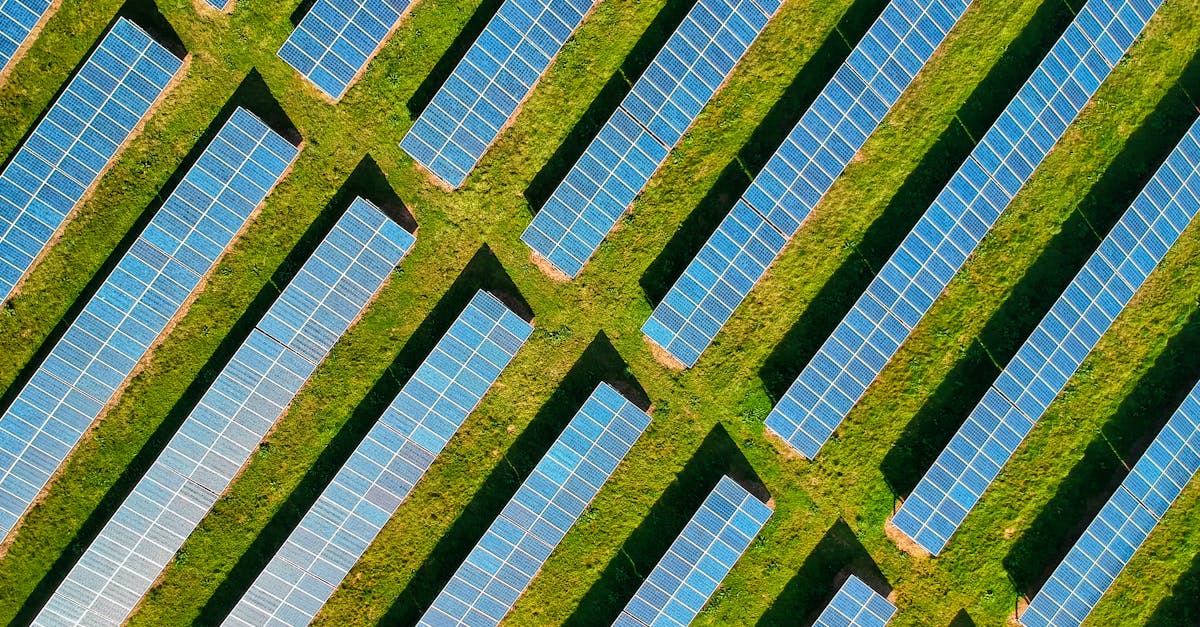 découvrez les solutions basées sur la nature, des approches durables qui utilisent les écosystèmes naturels pour résoudre les défis environnementaux et sociaux.