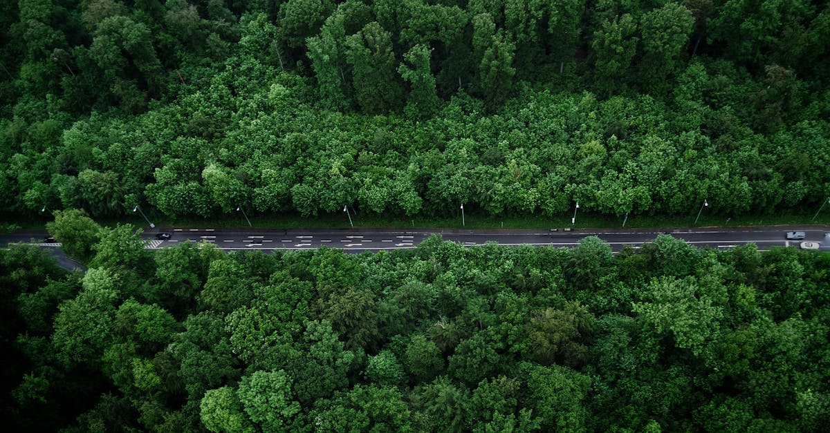 découvrez g7 environment, expert en solutions écologiques innovantes pour un avenir durable et respectueux de l'environnement.