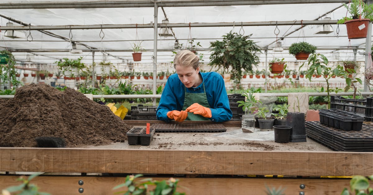 découvrez les pratiques de jardinage durable pour créer un espace vert respectueux de l'environnement. apprenez à cultiver vos plantes tout en préservant les ressources naturelles, en utilisant des méthodes écologiques et en favorisant la biodiversité.