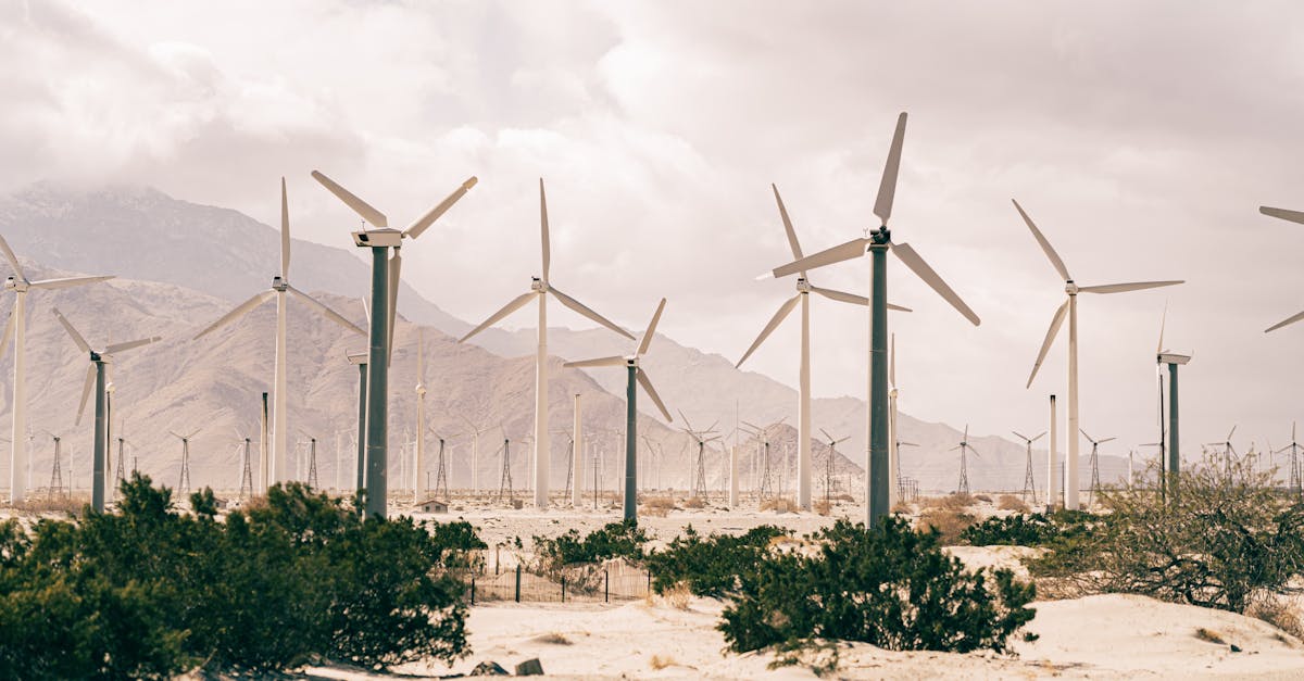 découvrez comment agir efficacement pour le climat ! rejoignez le mouvement pour des actions concrètes et durables face aux défis environnementaux actuels. ensemble, protégeons notre planète et assurons un avenir meilleur.