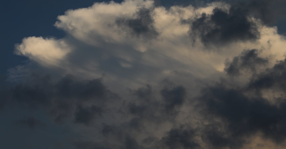 découvrez des informations essentielles sur le climat, ses changements, et son impact sur notre planète afin de mieux comprendre les enjeux environnementaux actuels.