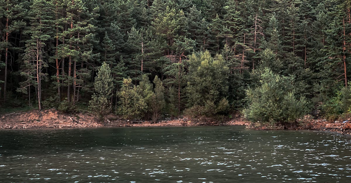 découvrez l'importance de la restauration des écosystèmes, un processus essentiel pour revitaliser la biodiversité, améliorer la résilience des habitats naturels et lutter contre le changement climatique. explorez des stratégies innovantes et des initiatives mondiales visant à restaurer notre planète.
