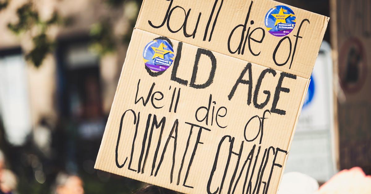 découvrez les initiatives mondiales pour lutter contre le changement climatique et promouvoir un avenir durable grâce à l'action climatique globale.