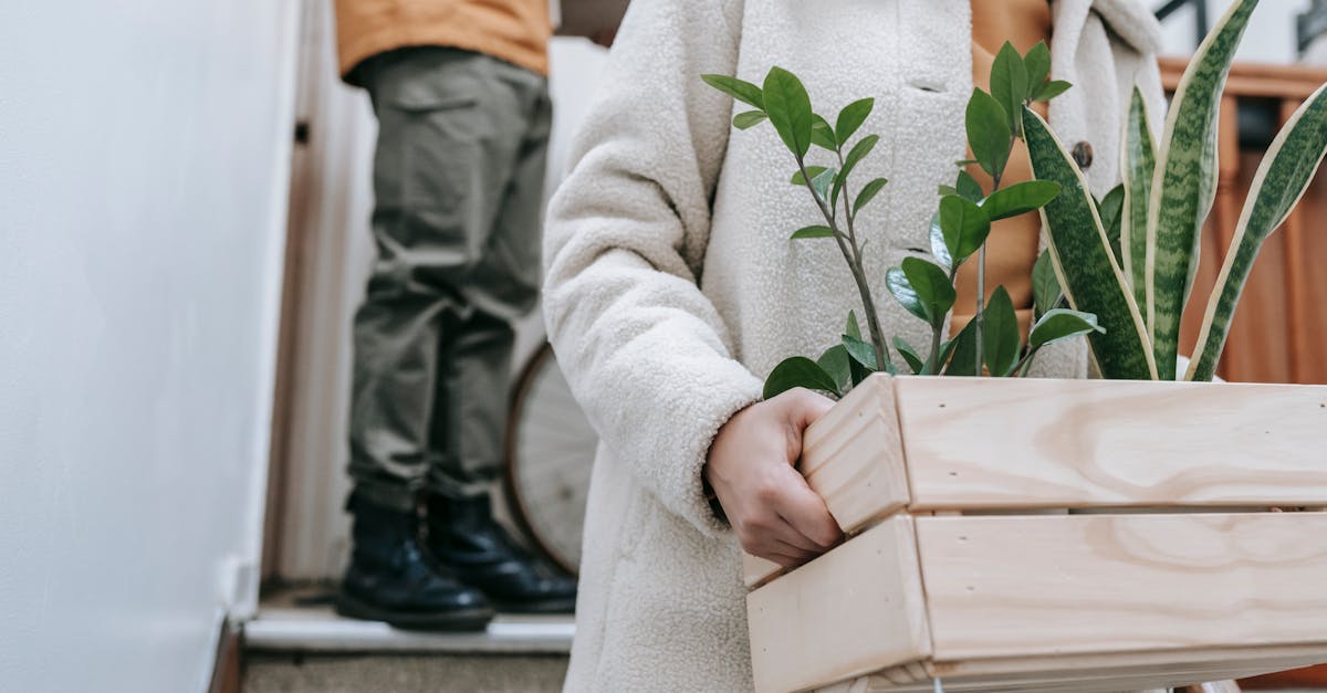 découvrez les enjeux et solutions de la transition écologique pour un avenir durable et respectueux de l'environnement.