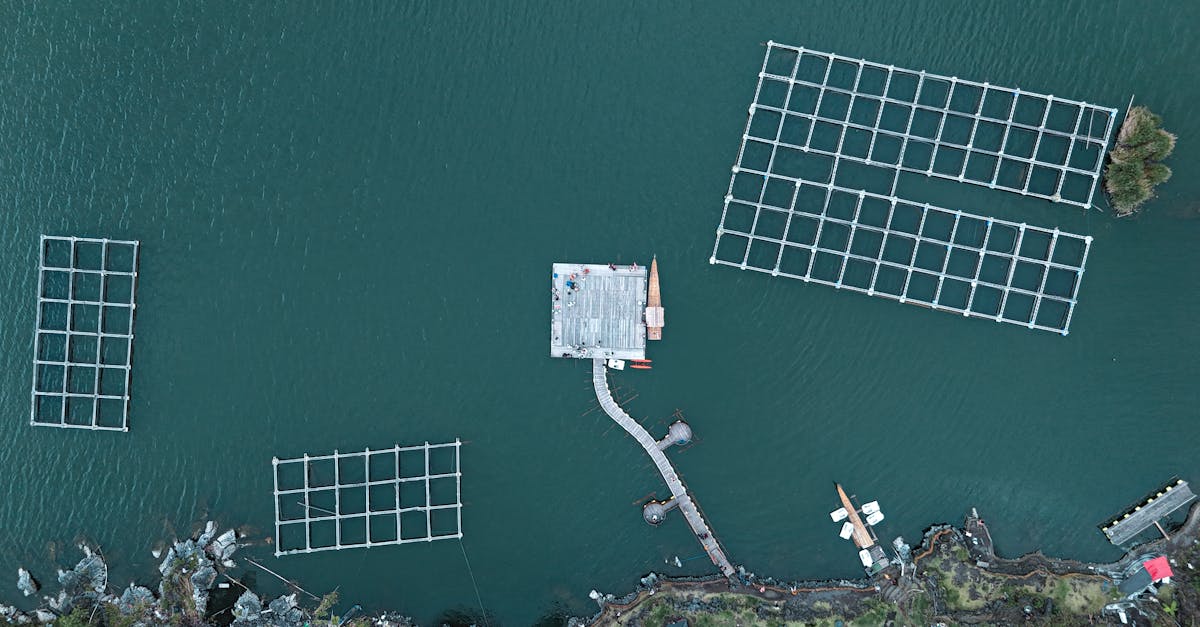 découvrez l'importance des ressources en eau pour notre planète. apprenez comment leur gestion durable est essentielle pour la biodiversité, l'agriculture et les besoins humains, tout en explorant des solutions innovantes pour préserver cette précieuse ressource.