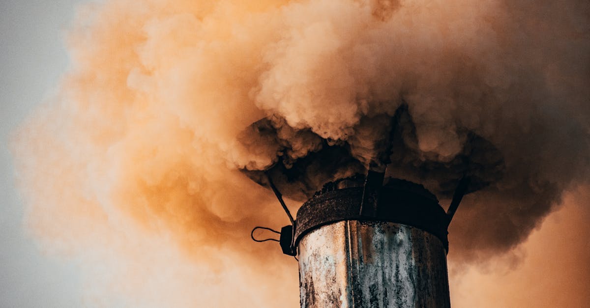 découvrez les impacts environnementaux des activités humaines et les solutions durables pour réduire notre empreinte écologique. apprenez comment chaque geste compte pour préserver notre planète.