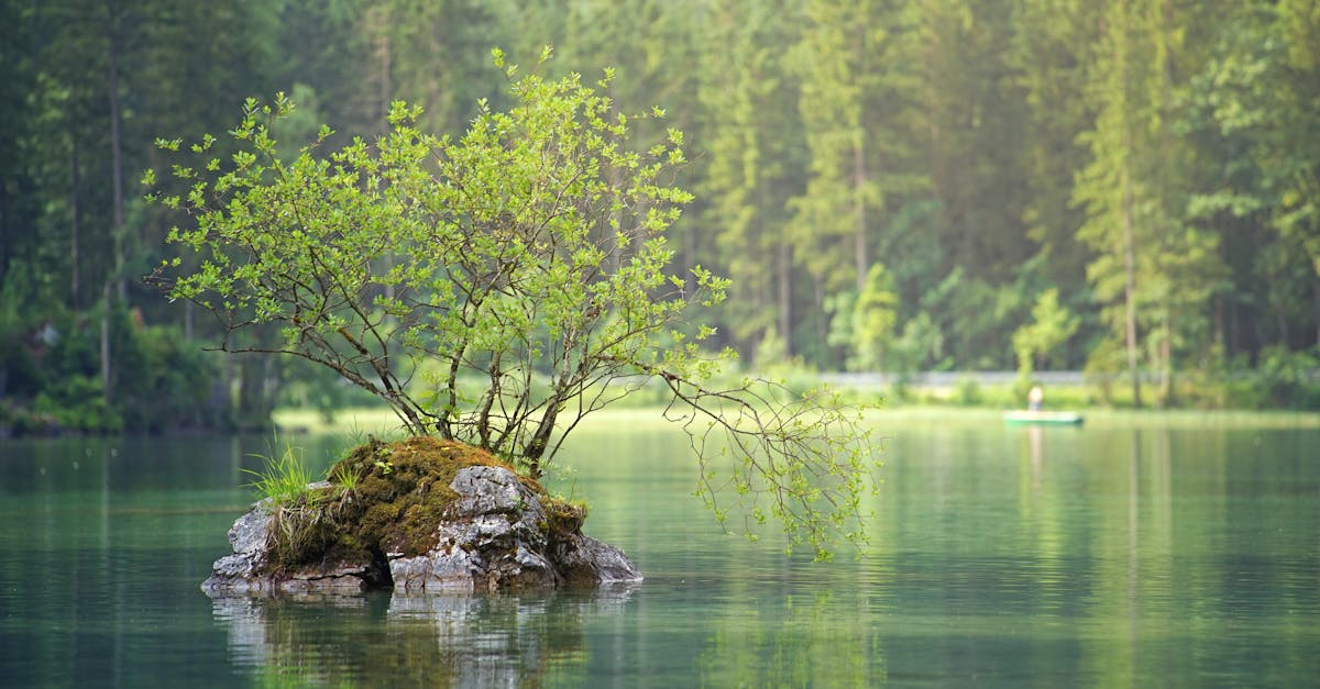 découvrez g7 environment, un leader engagé dans les solutions innovantes pour la gestion durable de l'environnement et la protection de la planète.