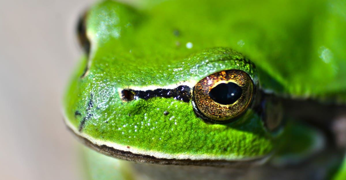 découvrez les sciences comportementales, une discipline qui étudie les comportements humains et animaux pour mieux comprendre leurs motivations et interactions.