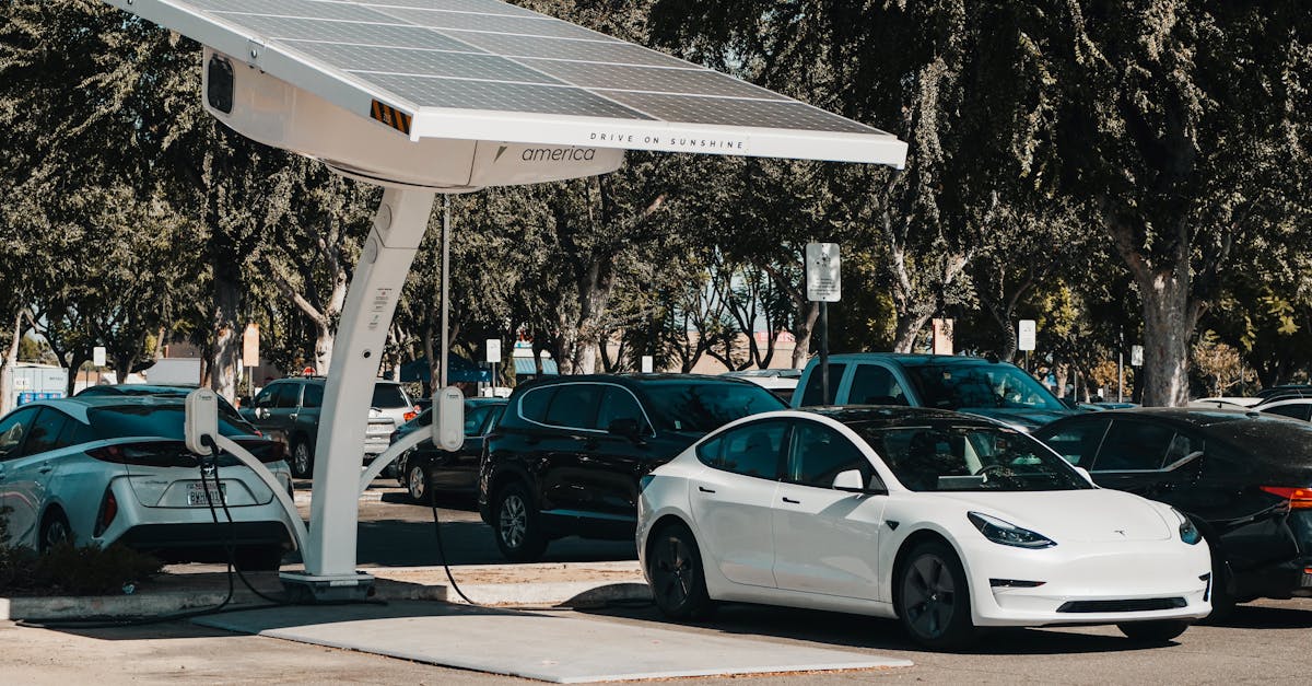 découvrez les avancées écologiques qui façonnent un avenir durable. plongez dans les initiatives innovantes et les solutions durables qui contribuent à la préservation de notre planète et à la promotion d'un mode de vie respectueux de l'environnement.