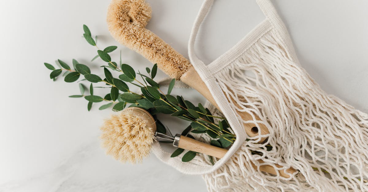 découvrez notre gamme de produits durables qui allient qualité, éthique et respect de l'environnement. engagez-vous pour un avenir meilleur avec des choix écoresponsables.