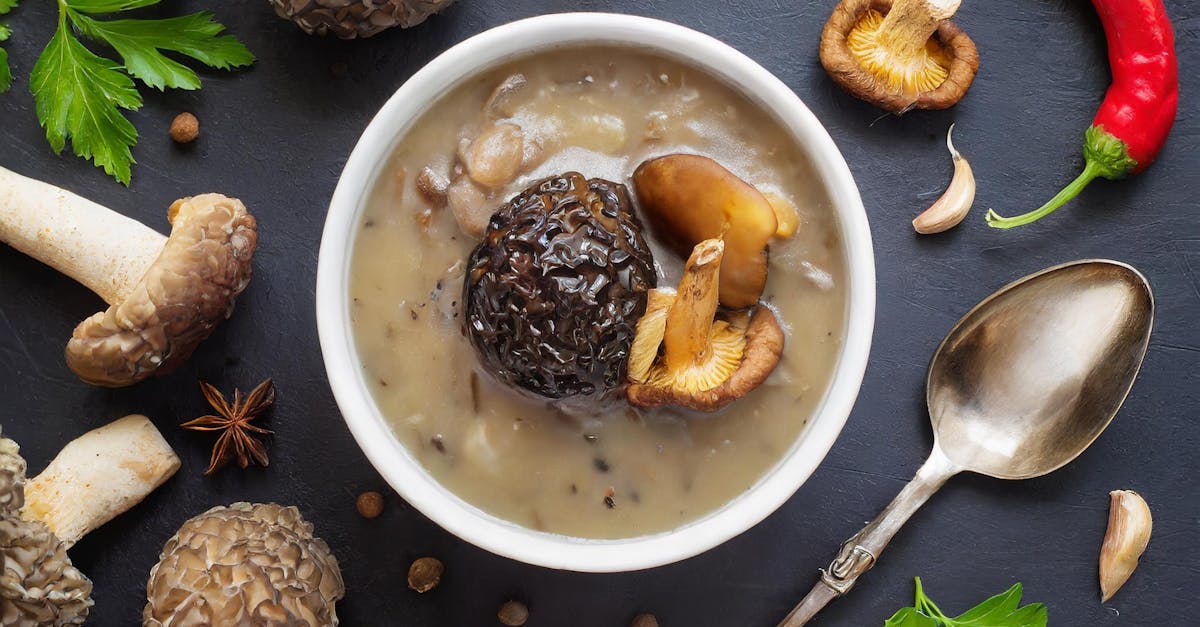 découvrez tout sur la morille, un champignon prisé pour son goût unique et sa texture délicate. apprenez à le reconnaître, à l'utiliser en cuisine et à explorer ses bienfaits nutritionnels.