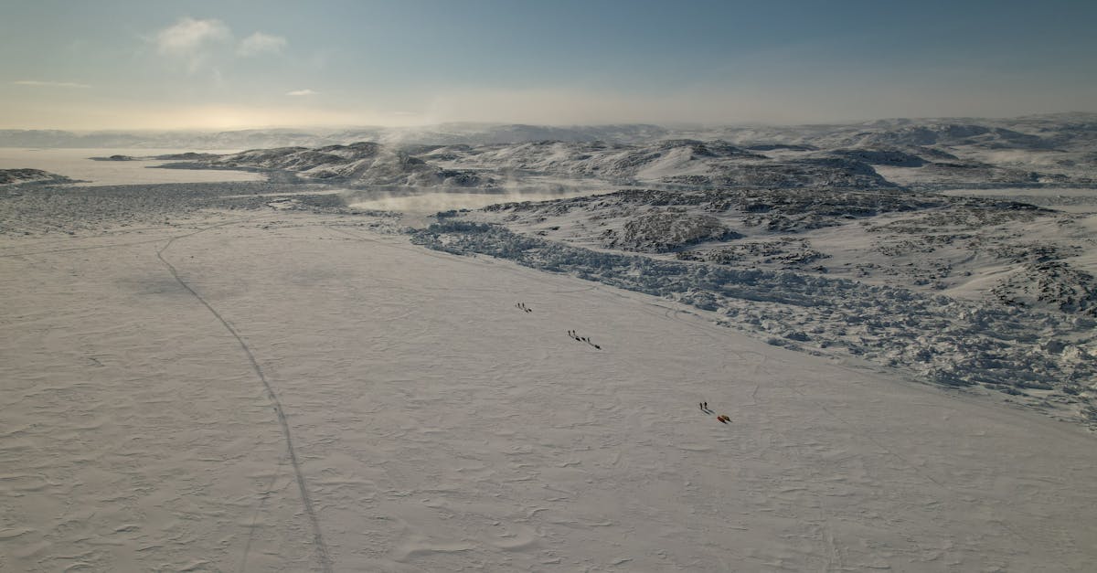 partez à l'aventure avec notre expédition en groenland, découvrez des paysages époustouflants, la faune arctique unique et vivez une expérience inoubliable en pleine nature.