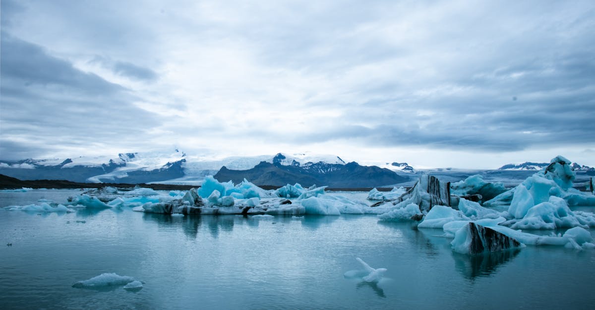 découvrez l'impact du changement climatique sur notre planète et explorez des solutions durables pour un avenir meilleur. informez-vous sur les causes, les conséquences et les actions à entreprendre pour lutter contre ce défi mondial.