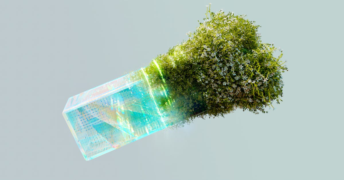 découvrez les dernières avancées et solutions innovantes pour lutter contre le changement climatique. suivez l’actualité des technologies vertes et des initiatives durables pour un avenir plus respectueux de l’environnement.