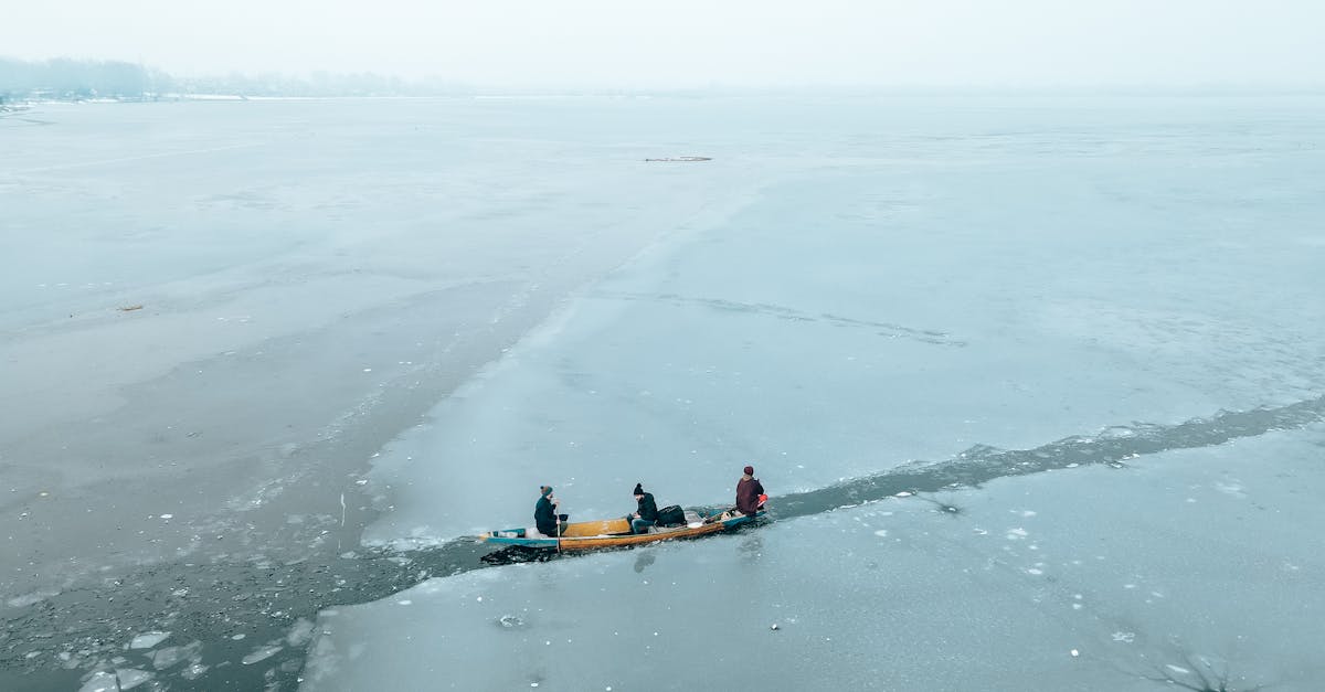 découvrez les principaux défis climatiques mondiaux et explorez les solutions pour un avenir durable face aux changements environnementaux.