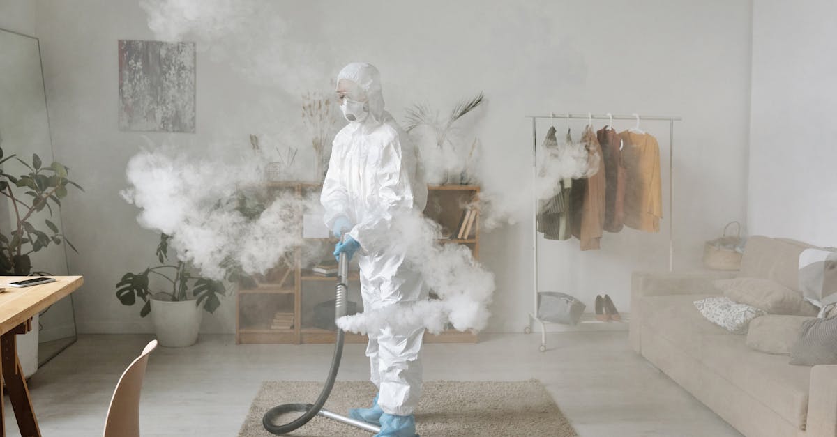 découvrez les enjeux de la santé environnementale et comment protéger notre bien-être face aux impacts de l'environnement sur la santé.