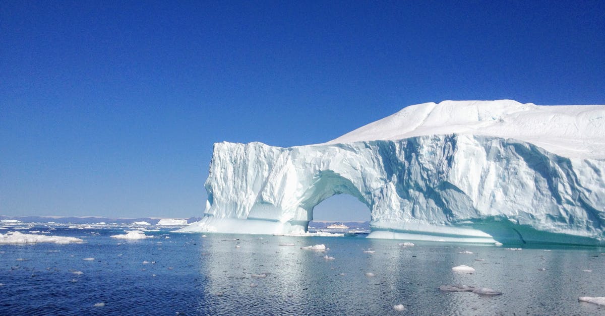 découvrez l'aventure ultime avec notre expédition au groenland : paysages à couper le souffle, faune unique et expérience inoubliable en pleine nature arctique.