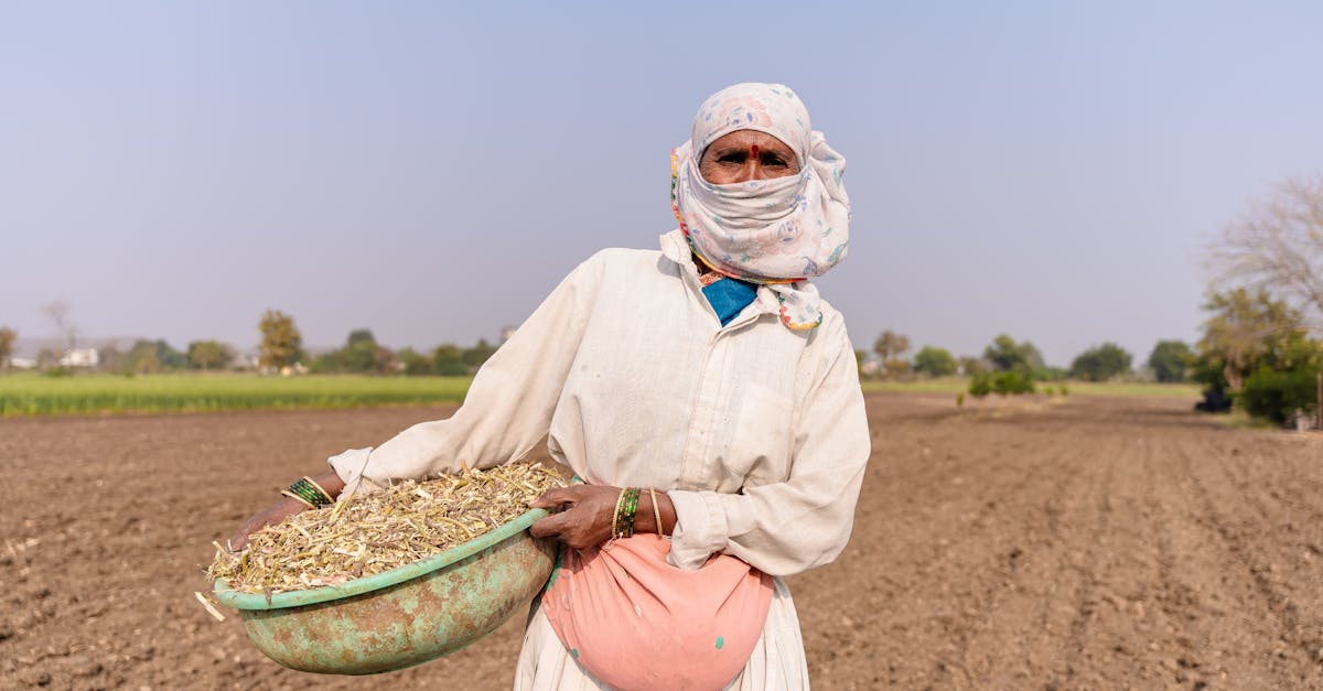 découvrez comment l'adaptation au changement climatique permet aux sociétés et aux écosystèmes de faire face aux nouveaux défis environnementaux, en adoptant des solutions innovantes et durables.