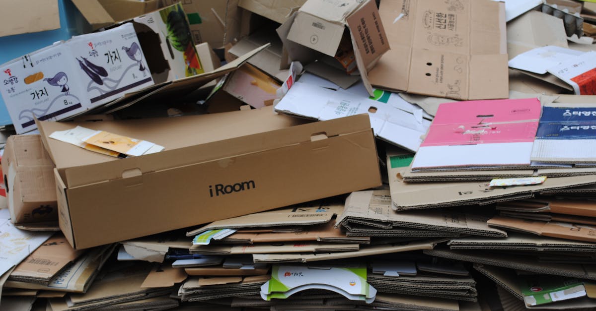 découvrez les meilleures pratiques en matière de gestion durable des ressources. apprenez comment équilibrer les besoins humains et la préservation de l'environnement pour un avenir éco-responsable.