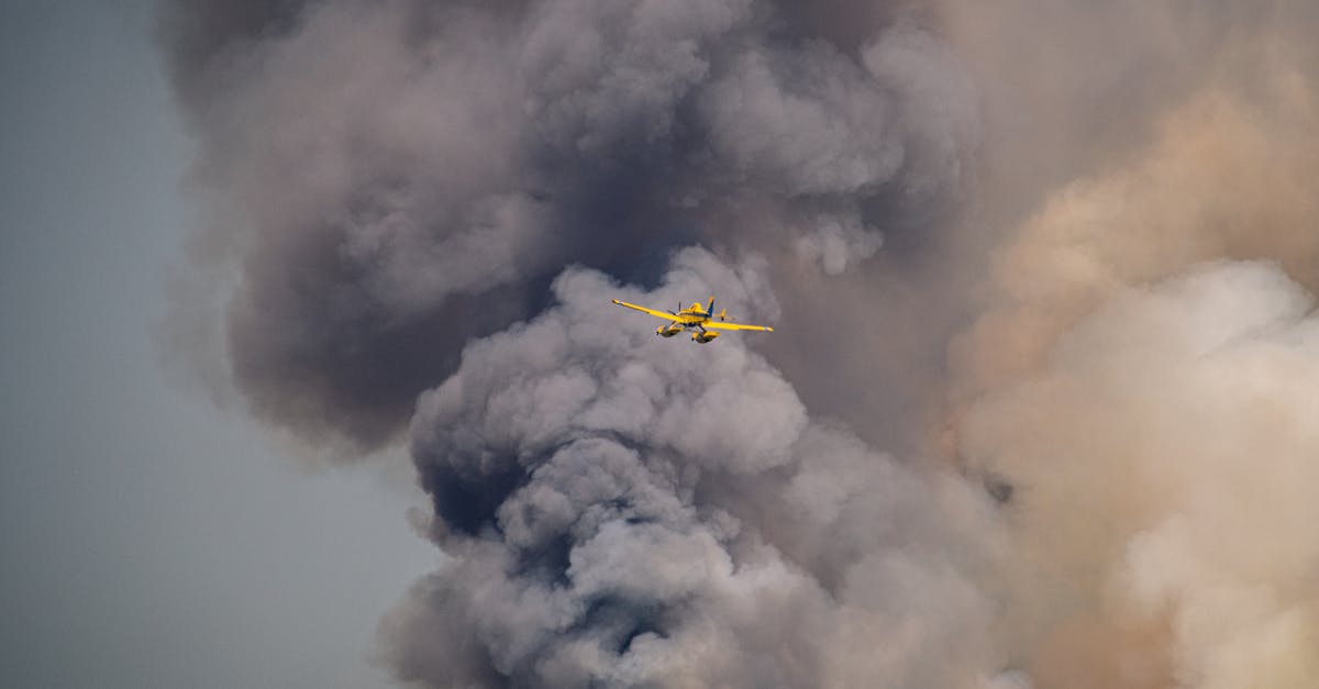 découvrez l'urgence climatique actuelle, ses enjeux globaux et les actions essentielles à entreprendre pour préserver notre planète. explorez comment chacun peut contribuer à un avenir durable face aux défis environnementaux pressants.