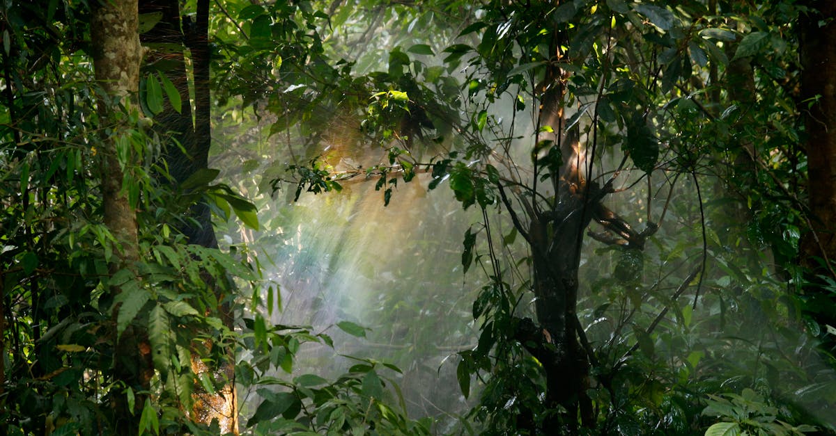 découvrez ce qu'est le greenwashing, ses techniques trompeuses et comment identifier les véritables engagements environnementaux des entreprises.