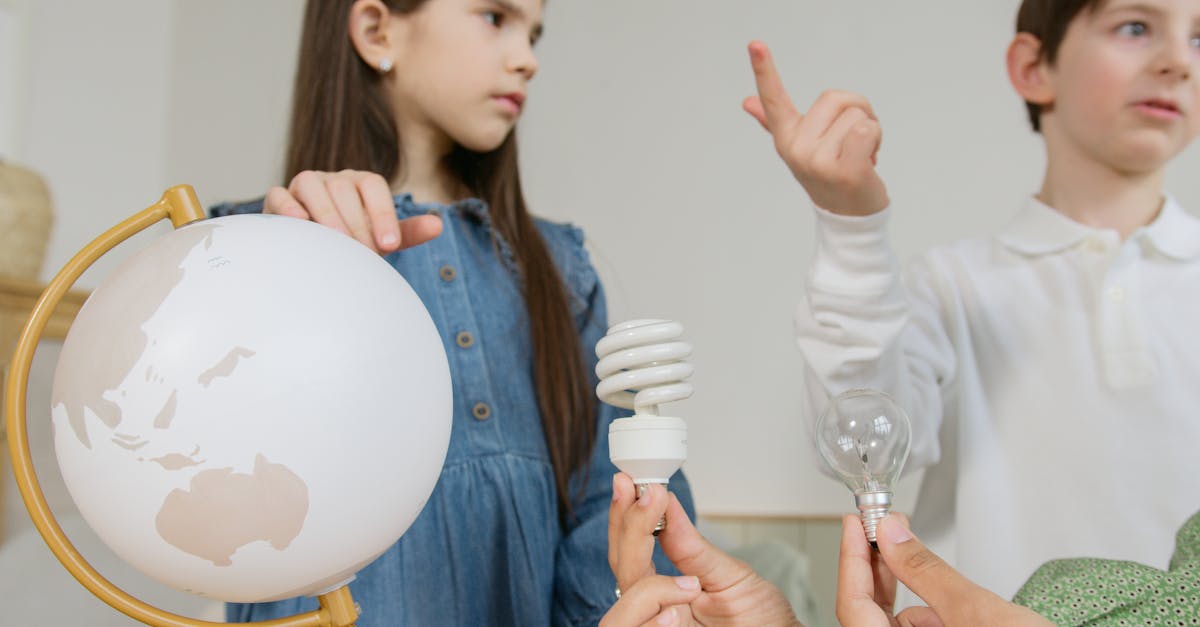 découvrez les enjeux et les solutions de l'éducation à la transition écologique pour un avenir durable et respectueux de l'environnement.