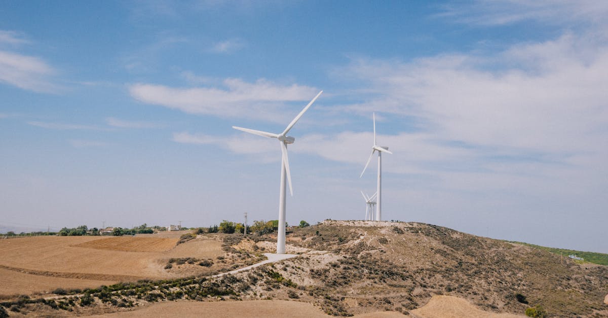 découvrez des stratégies et des pratiques durables pour préserver l'environnement, favoriser l'économie circulaire et promouvoir un avenir responsable.