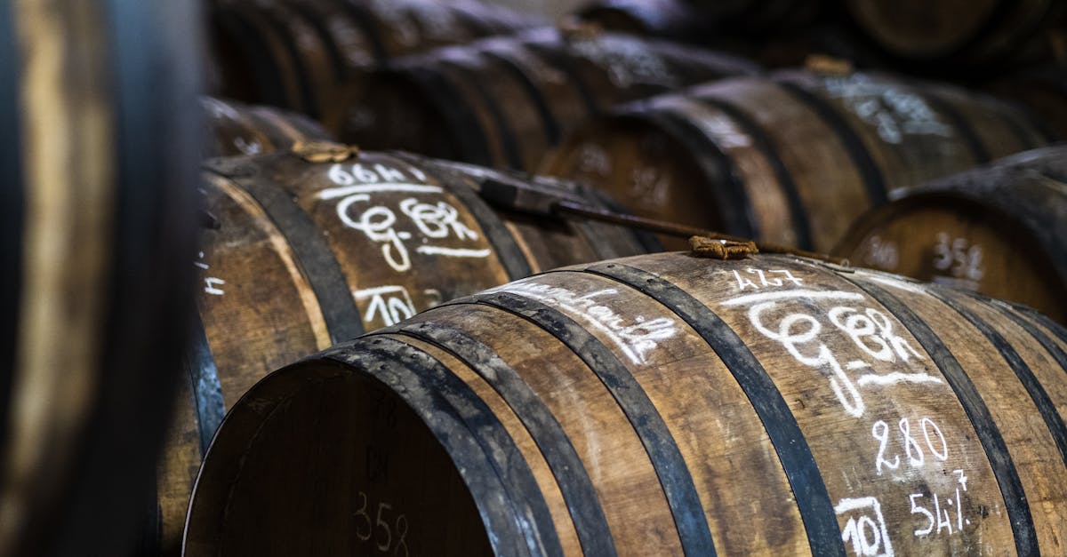 découvrez les vignobles français : un voyage au cœur des terroirs prestigieux, avec des vins d'exception et des paysages pittoresques à savourer.
