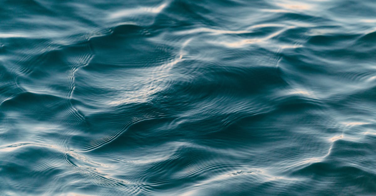 découvrez la beauté et la diversité des océans, véritables trésors de la planète. plongez dans un monde fascinant où la vie marine foisonne, des récifs colorés aux grandes profondeurs. apprenez l'importance de la conservation et de la protection de ces écosystèmes vitaux pour l'avenir de notre planète.