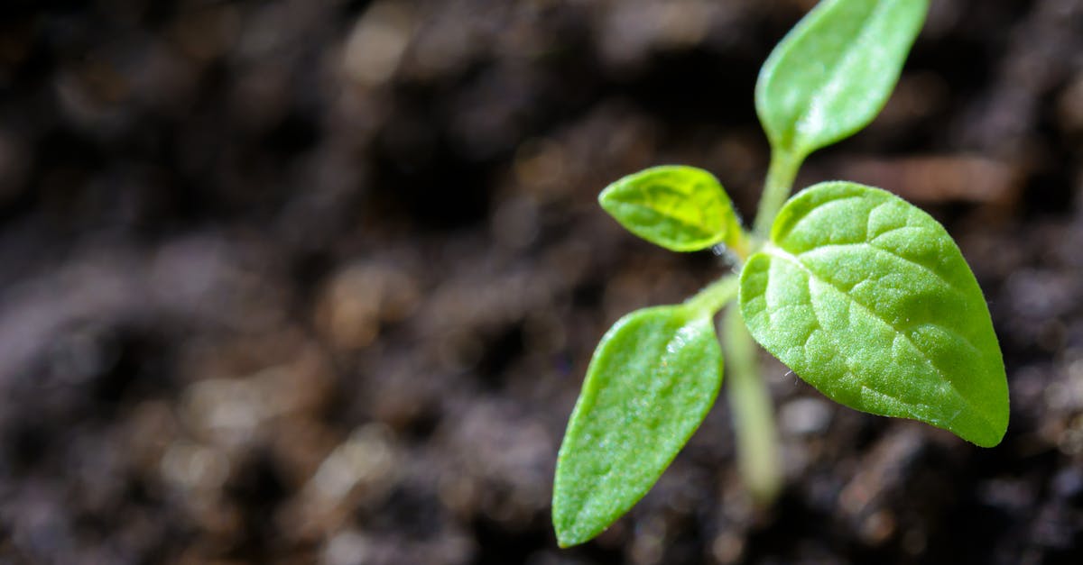 découvrez l'importance de la durabilité dans notre monde moderne. explorez des pratiques écologiques, des innovations durables et des actions individuelles qui contribuent à préserver notre planète pour les générations futures.