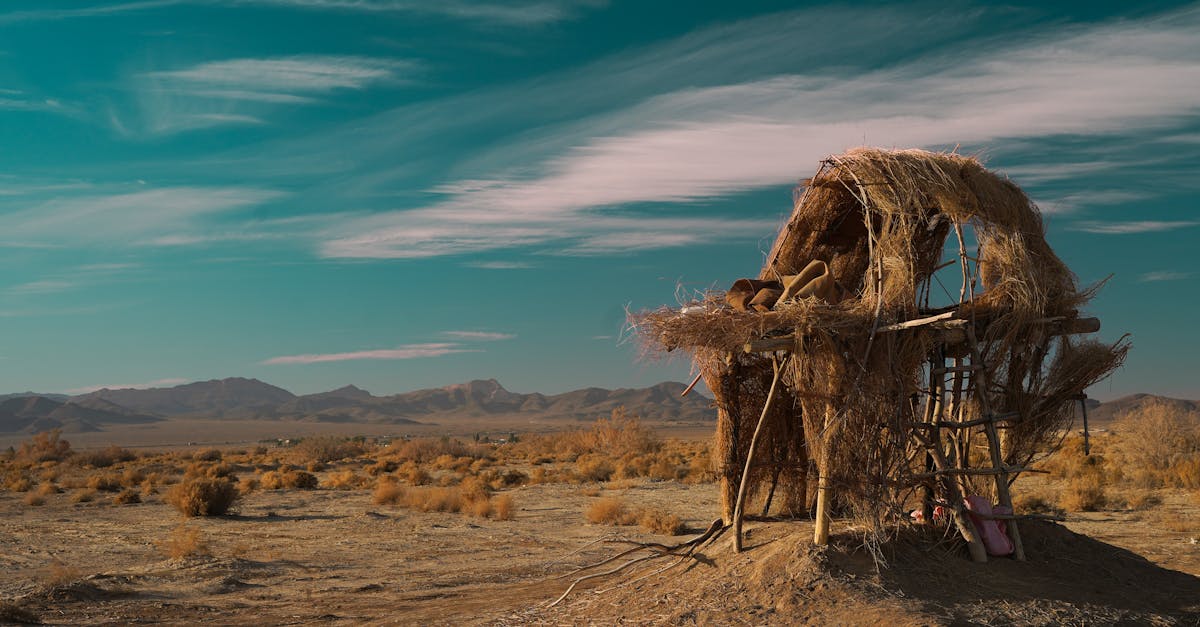 découvrez le climate institute, une organisation dédiée à l'étude et à la recherche sur les changements climatiques. explorez nos initiatives, nos publications et nos projets visant à promouvoir une compréhension approfondie des enjeux environnementaux actuels et à encourager des solutions durables pour préserver notre planète.