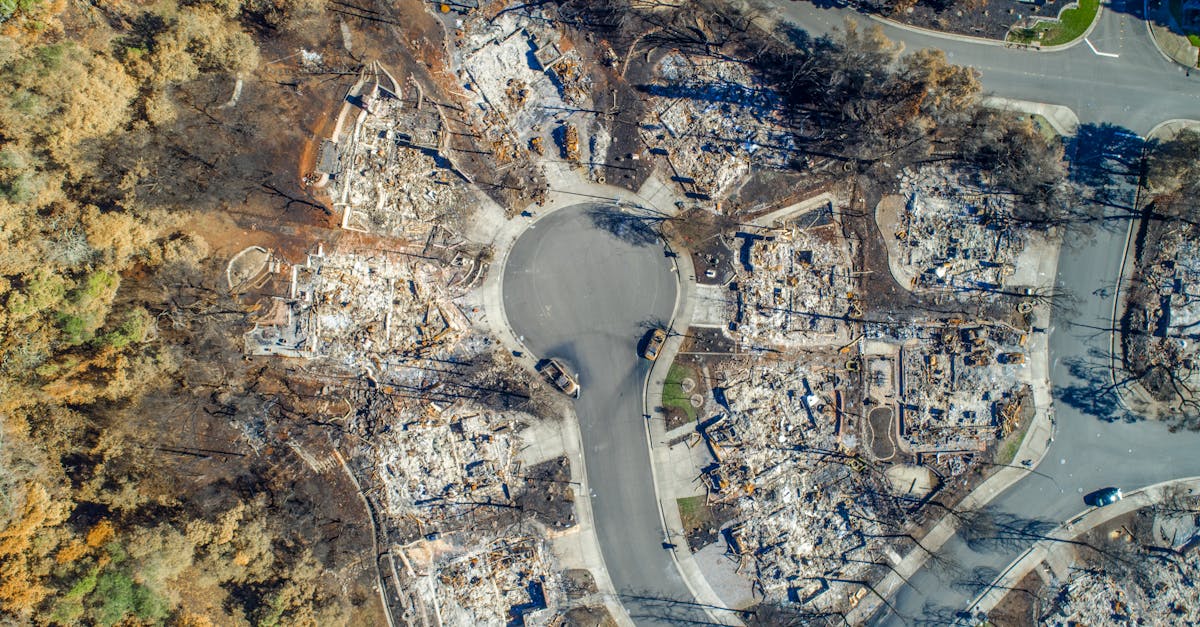 découvrez l'impact environnemental des activités humaines et les solutions pour réduire notre empreinte écologique. informez-vous sur les enjeux liés à la pollution, le changement climatique et la préservation de la biodiversité.