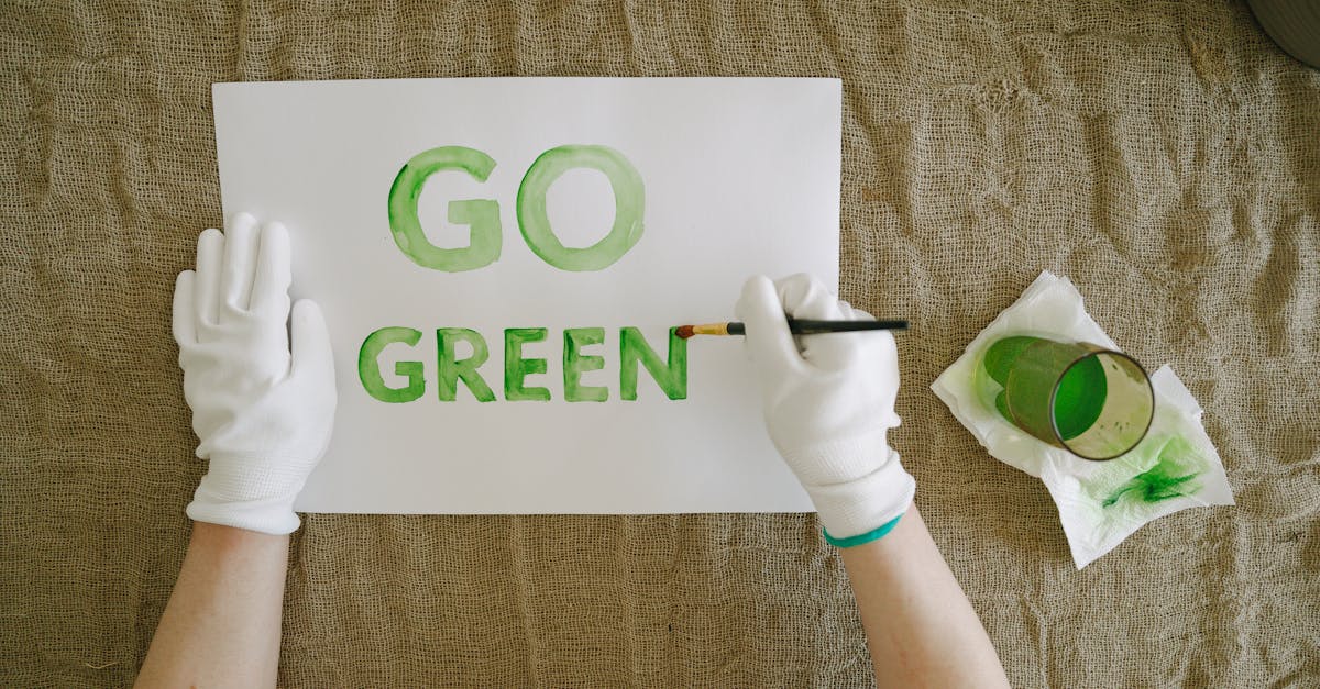 sensibilisation à l'environnement : découvrez comment protéger la planète et adopter des pratiques durables au quotidien.