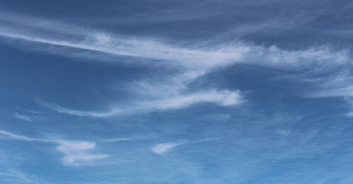 découvrez les enjeux du climat, ses impacts sur notre planète et les solutions pour un avenir durable et respectueux de l'environnement.