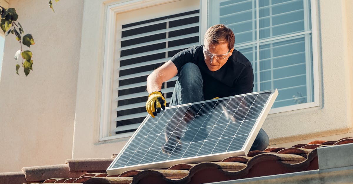 découvrez les actions concrètes pour lutter contre le changement climatique, réduire votre empreinte carbone et encourager un avenir durable. conseils, initiatives et actualités sur la protection de l'environnement.