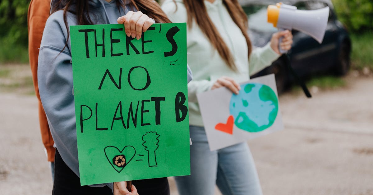 découvrez comment la jeunesse s'engage activement dans la lutte contre le changement climatique pour un avenir durable et responsable.