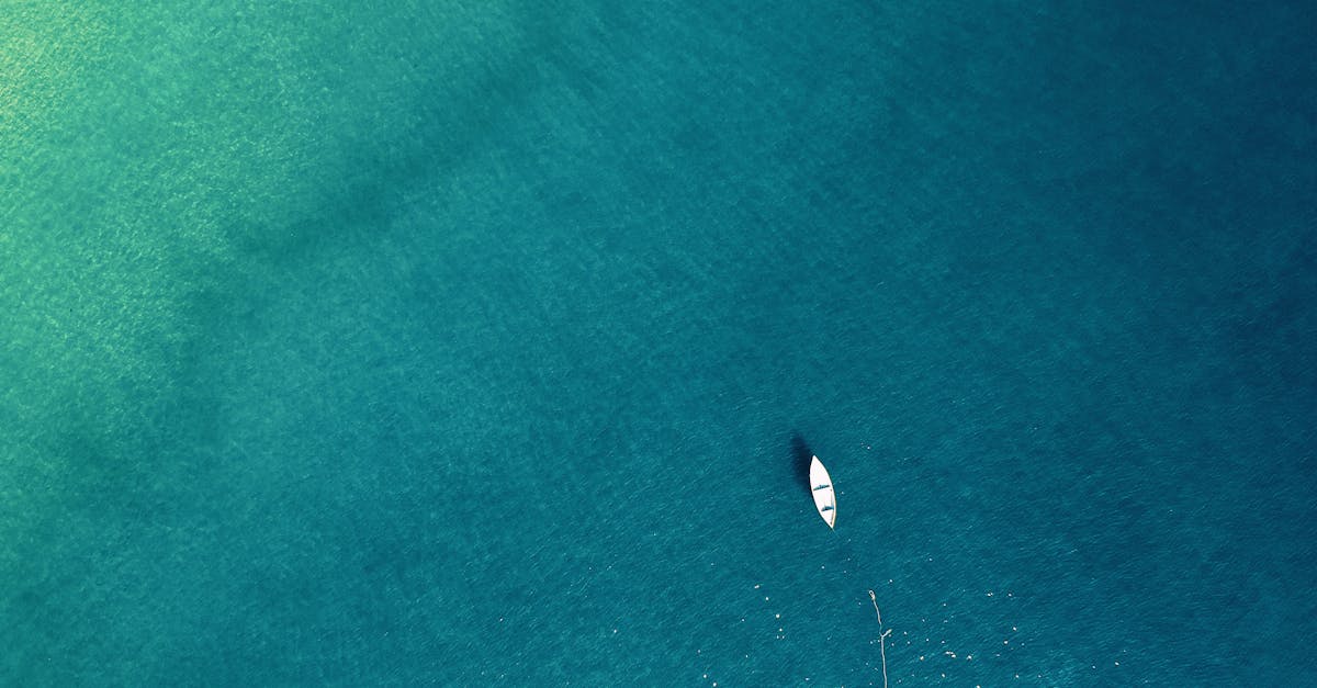 explorez l'immensité des océans, ces vastes étendues d'eau qui abritent une biodiversité fascinante. découvrez les merveilles marines, la beauté des paysages aquatiques et l'importance des océans pour notre planète.