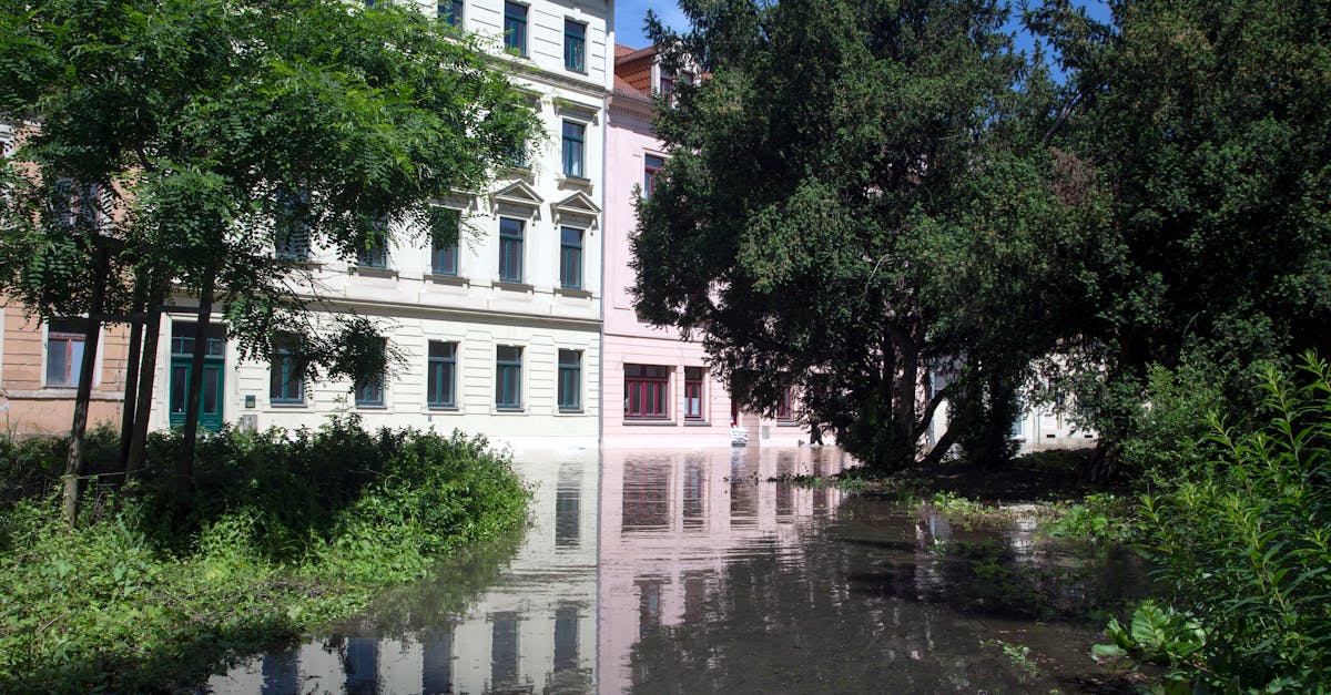 découvrez l'urban renaturation, une démarche innovante pour intégrer la nature en milieu urbain et améliorer la qualité de vie en ville.